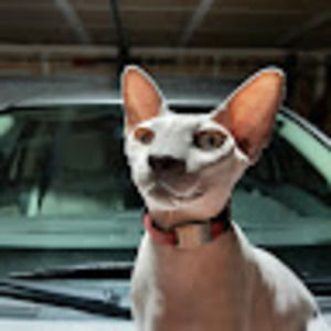 Meet your Posher, Julliet